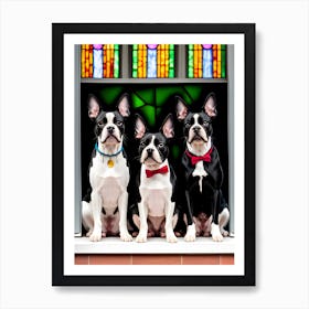 Three Boston Terriers Art Print