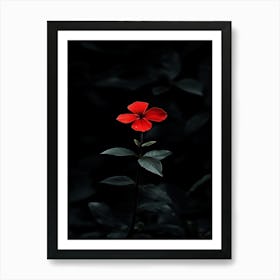 Single Red Flower 6 Art Print