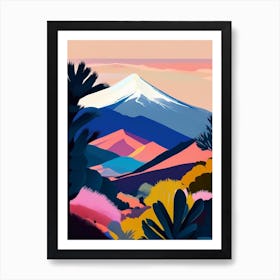 Teide National Park Spain Pop Matisse Art Print