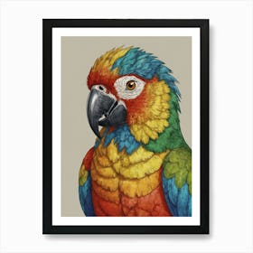 Colorful Parrot 40 Art Print