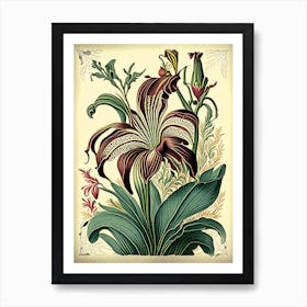 Lily Floral 1 Botanical Vintage Poster Art Print