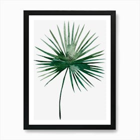 Palm Leaf Art Print