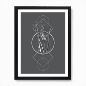 Vintage Drooping Star of Bethlehem Botanical with Line Motif and Dot Pattern in Ghost Gray n.0124 Art Print