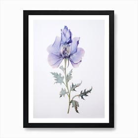 Pressed Flower Botanical Art Aconitum 1 Art Print