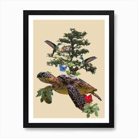 Hummingbirds And Turtle Art Print