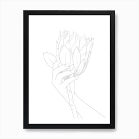 Line Protea Flower Art Print