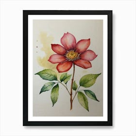 Watercolour Of A Red Flower Art Print