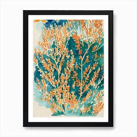 Acropora Millepora Ssp Capricornis Vintage Graphic Watercolour Art Print