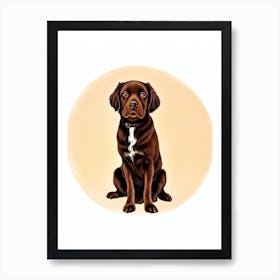 Boykin Spaniel Illustration Dog Art Print