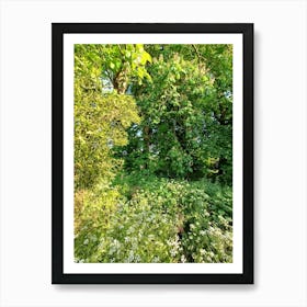 Wildflowers In The Woods Art Print