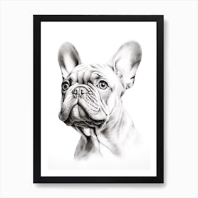 French Bulldog Dog, Line Drawing 2 Art Print