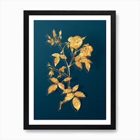 Vintage Velvet China Rose Botanical in Gold on Teal Blue n.0060 Art Print