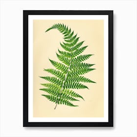 Vintage Illustration Ribbon Fern 1 Art Print