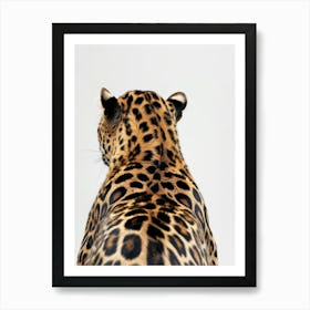 Back Of A Jaguar Art Print