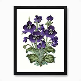 Violets Wildflower Vintage Botanical 2 Art Print