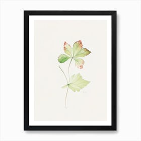 Wild Strawberry Leaf Minimalist Watercolour 2 Art Print