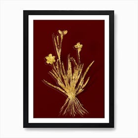 Vintage Yellow Eyed Grass Botanical in Gold on Red n.0477 Art Print