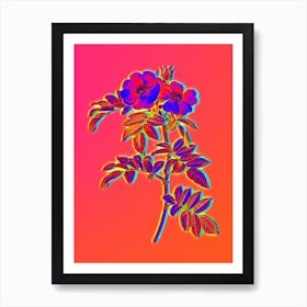 Neon Shining Rosa Lucida Botanical in Hot Pink and Electric Blue Art Print