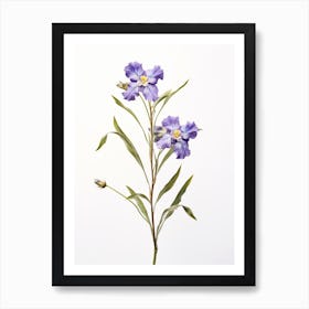 Pressed Wildflower Botanical Art Virginia Spiderwort 1 Art Print