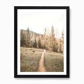 Forest Hiking Trail Art Print