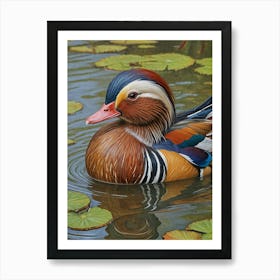 Mandarin Duck In The Lily Pond Art Print