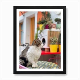 cute cat Art Print