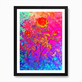 Agatha Rose in Bloom Botanical in Acid Neon Pink Green and Blue Art Print