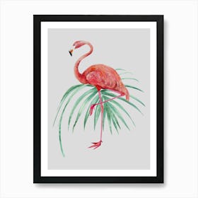 Flamingo Affiche