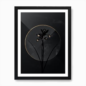 Shadowy Vintage Spanish Iris Botanical on Black with Gold n.0186 Art Print