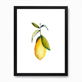 Lemon 3 Art Print