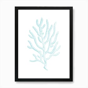 Blue Coral 3 Art Print