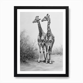 Two Giraffe Together Pencil Drawing 2 Art Print