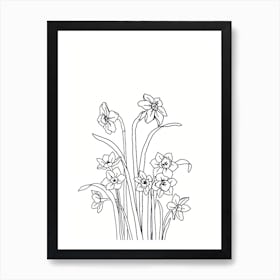 Narcissus Drawing Art Print