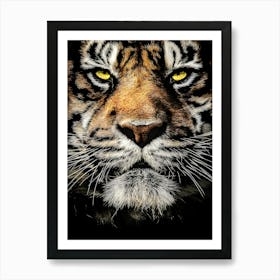 Close Up Portrait Of A Tiger Art Print