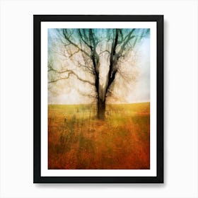 Branxton Moor Fields Art Print