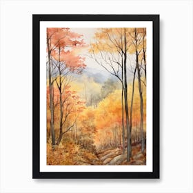 Autumn Forest Landscape The Shawnee National Forest 1 Art Print