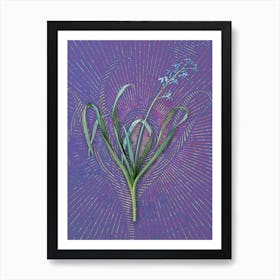Vintage Dutch Hyacinth Botanical Illustration on Veri Peri Art Print
