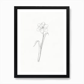 Daffodil Sketch Poster