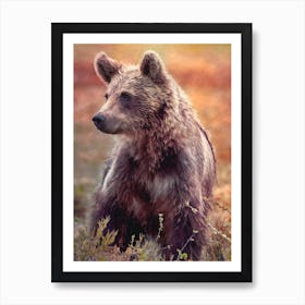 Brown Bear Art Print