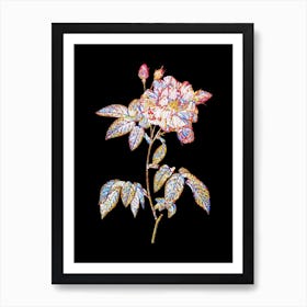 Stained Glass French Rosebush with Variegated Flowers Mosaic Botanical Illustration on Black n.0163 Art Print