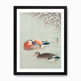 Mandarin Ducks (1925 1936), Ohara Koson Art Print