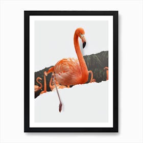 Flamingo Torn Paper Art Print