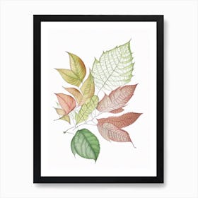 Leaf Pattern 5 Art Print