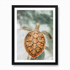 Sea Turtle Swimming Art Print