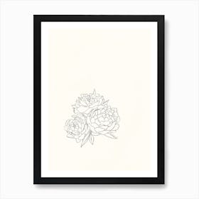 Peonies Drawing Art Print