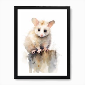 Light Watercolor Painting Of A Posing Possum 1 Art Print