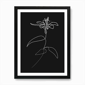 Lily 0724 Black Art Print