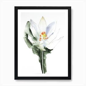 Bloodroot 3 Art Print