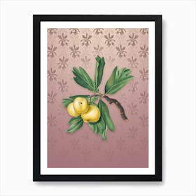 Vintage Hawthorne Botanical on Dusty Pink Pattern n.2365 Art Print