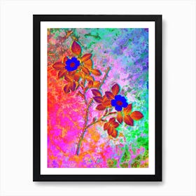 Spiny Leaved Rose of Dematra Botanical in Acid Neon Pink Green and Blue n.0117 Art Print